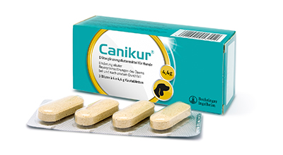 Canikur® Kautabletten für die Reiseapotheke